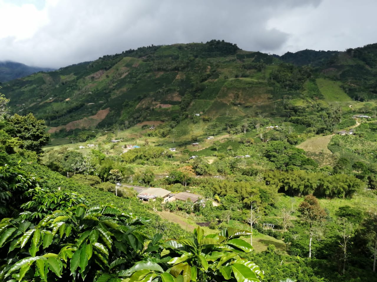 EL TRIUNFO / COLOMBIA