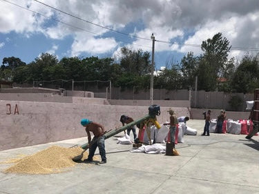 HUNAPU/GUATEMALA
