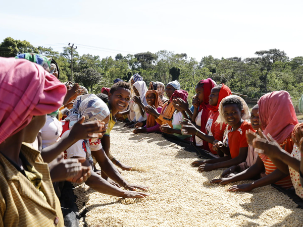 Sidamo_Day_1_600x.png?v=1750746287