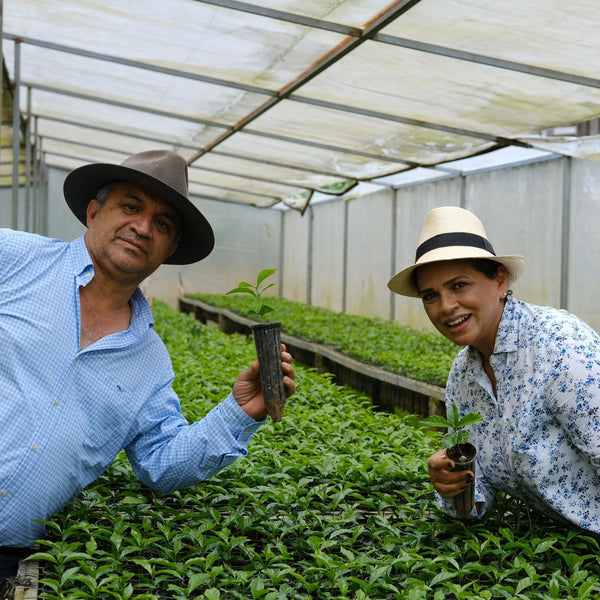 MARYSABEL CABALLERO Y MOISES HERRERA / HONDURAS - FUGLEN COFFEE