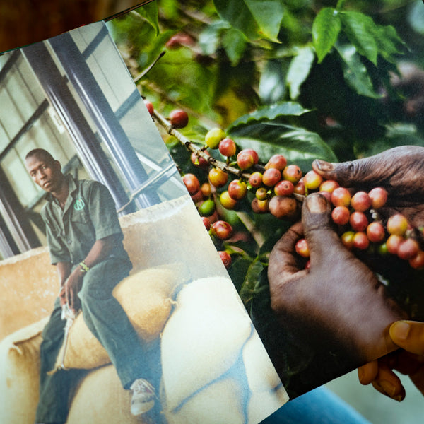 写真集 [Kunywa Jasho Langu] by Jake Greenf - FUGLEN COFFEE