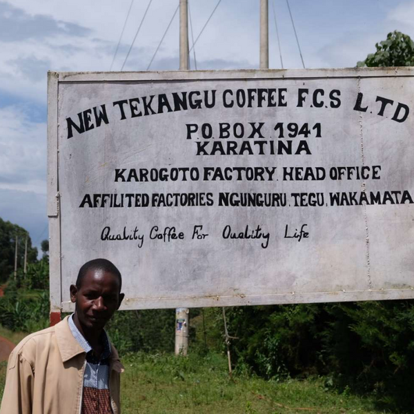 AA KAROGOTO / KENYA - FUGLEN COFFEE ROASTERS TOKYO