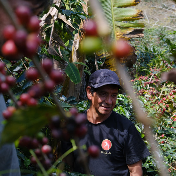 FAMILIA FERNANDEZ ESPRESSO / PERU - FUGLEN COFFEE ROASTERS TOKYO