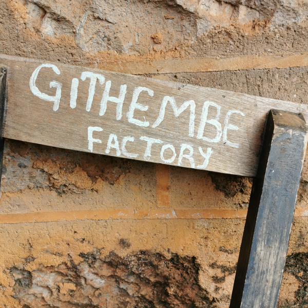 AB GITHEMBE / KENYA - FUGLEN COFFEE ROASTERS TOKYO