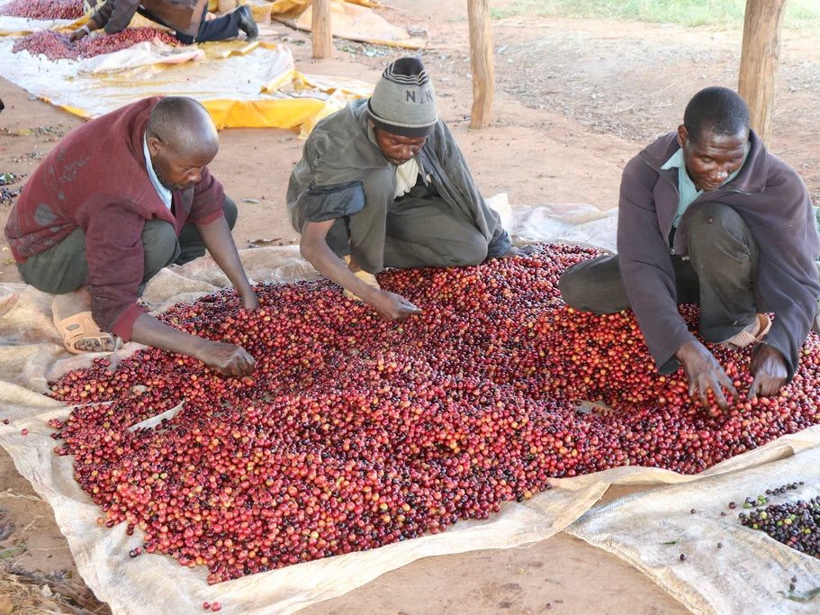 AA RIAKIBERU/KENYA