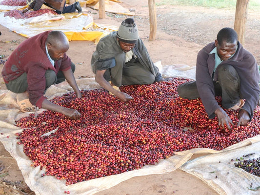 AA RIAKIBERU/KENYA