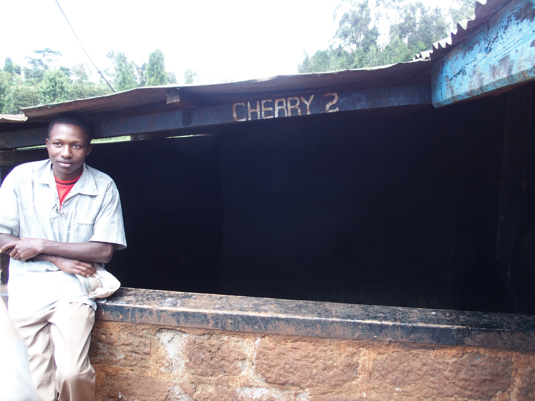 AA BARIKONGO / KENYA