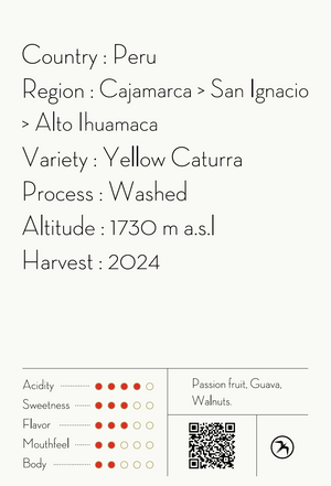 【NEW】FREDESLINDA CALLE / PERU