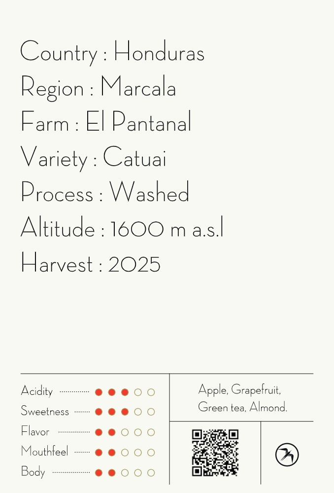 【NEW】CABALLERO ESPRESSO / HONDURAS