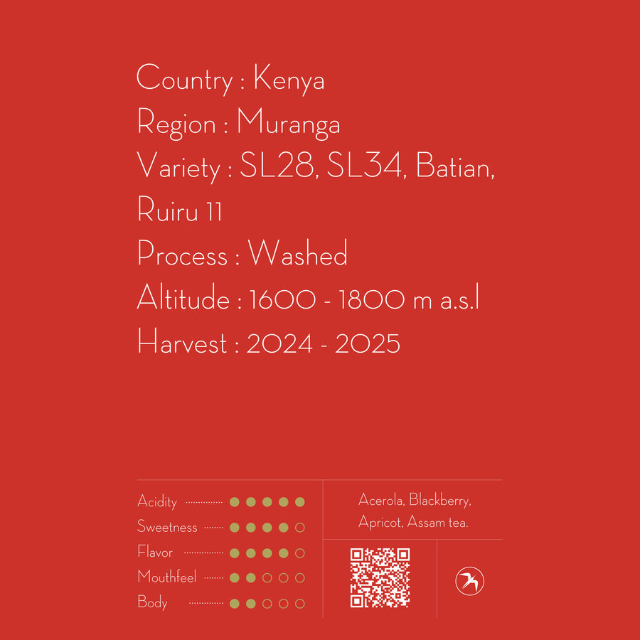 【NEW】AA KIAWANDUMA / KENYA