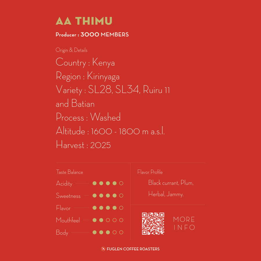 DRIP BAG / AA THIMU, KENYA