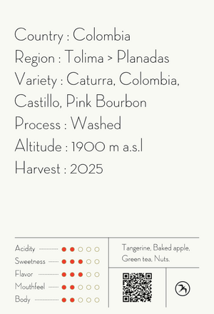 【NEW】ASTRID MEDINA / COLOMBIA