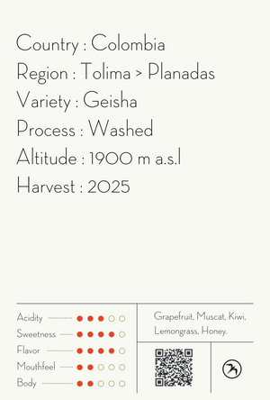 【NEW】ASTRID MEDINA GEISHA / COLOMBIA