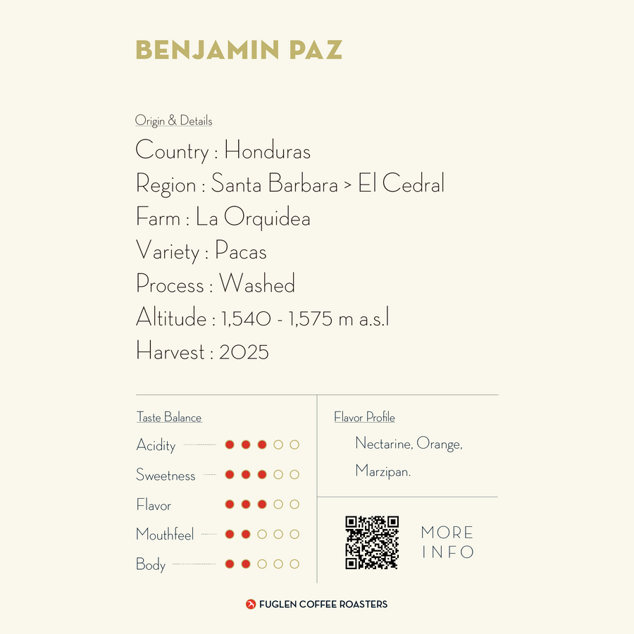 【NEW】DRIP BAG / BENJAMIN PAZ, HONDURAS