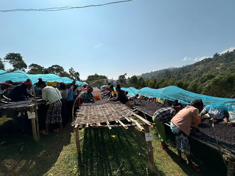 BONA ZURIA / ETHIOPIA