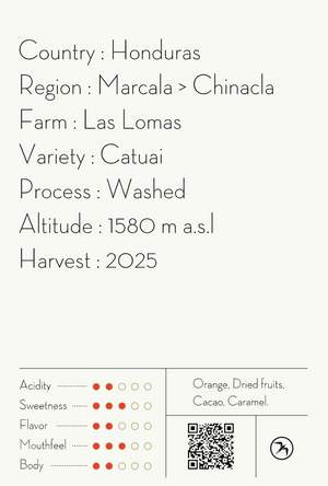 【NEW】CABALLERO ESPRESSO / HONDURAS