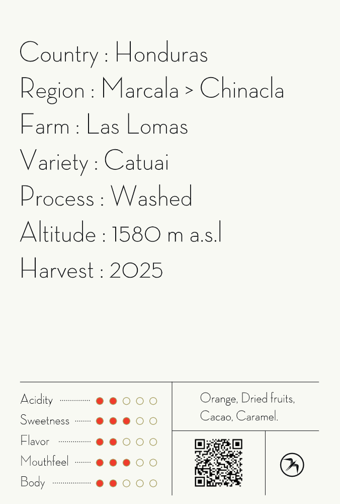 【NEW】CABALLERO ESPRESSO / HONDURAS
