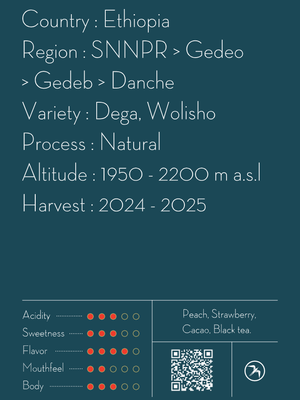 【NEW】DANCHE ESPRESSO / ETHIOPIA