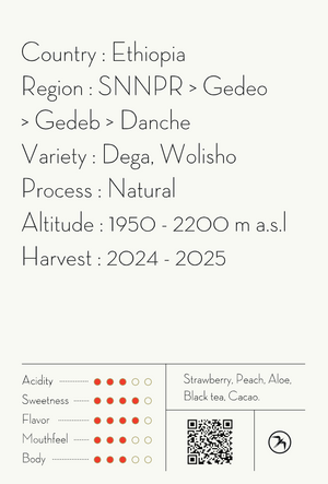 【NEW】DANCHE / ETHIOPIA
