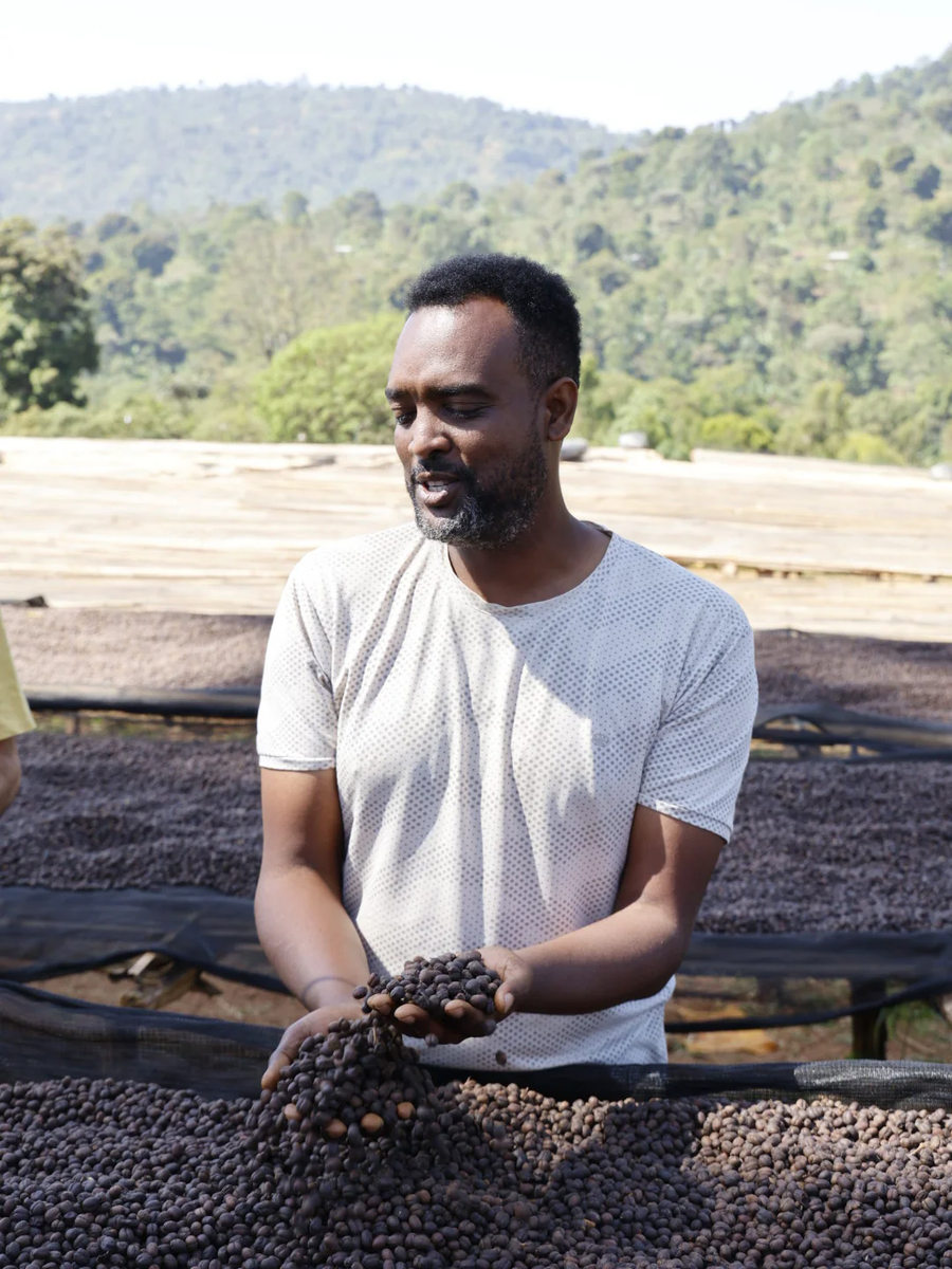 【NEW】DANCHE ESPRESSO / ETHIOPIA