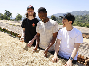 【NEW】DANCHE / ETHIOPIA