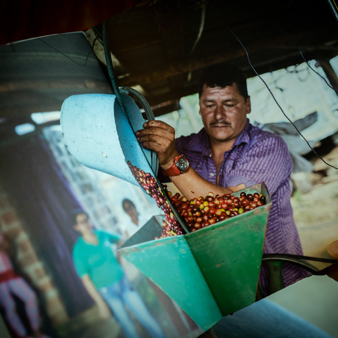 写真集 [Beber Mi Sudor] by Jake Green