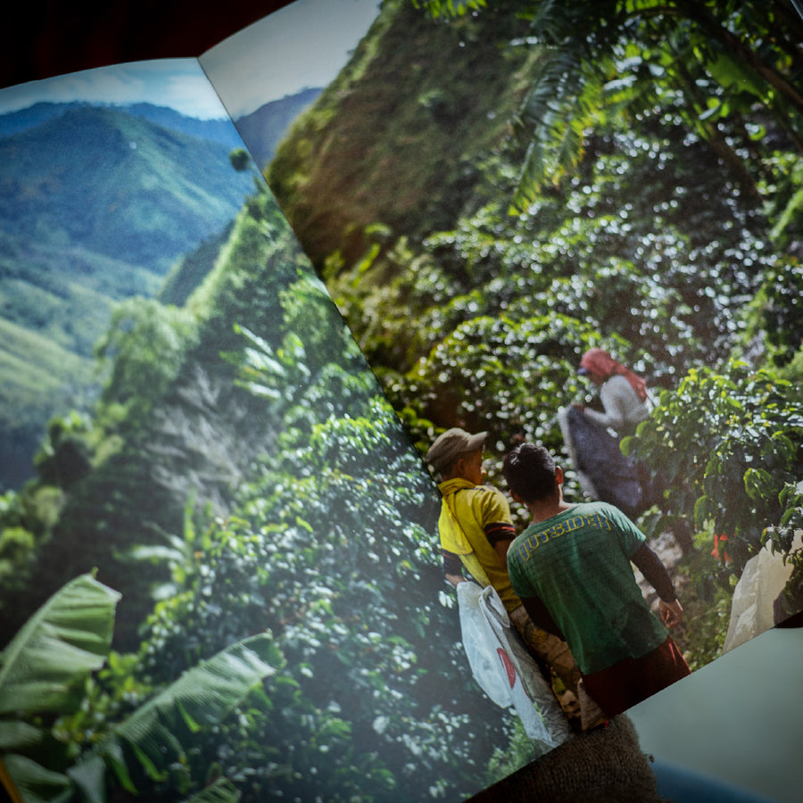 写真集 [Beber Mi Sudor] by Jake Green