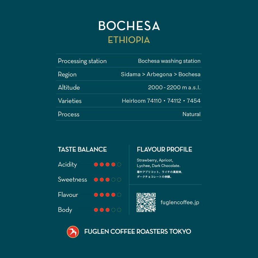 【NEW】BOCHESA / ETHIOPIA