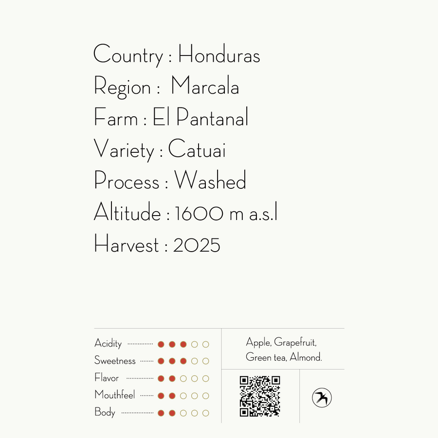 CABALLERO ESPRESSO / HONDURAS