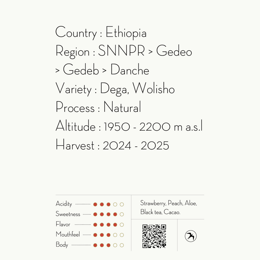 DRIP BAG / DANCHE , ETHIOPIA