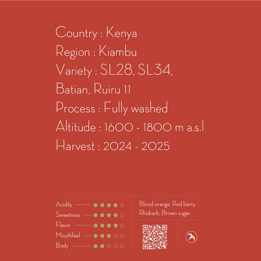 【NEW】AB GITHEMBE / KENYA