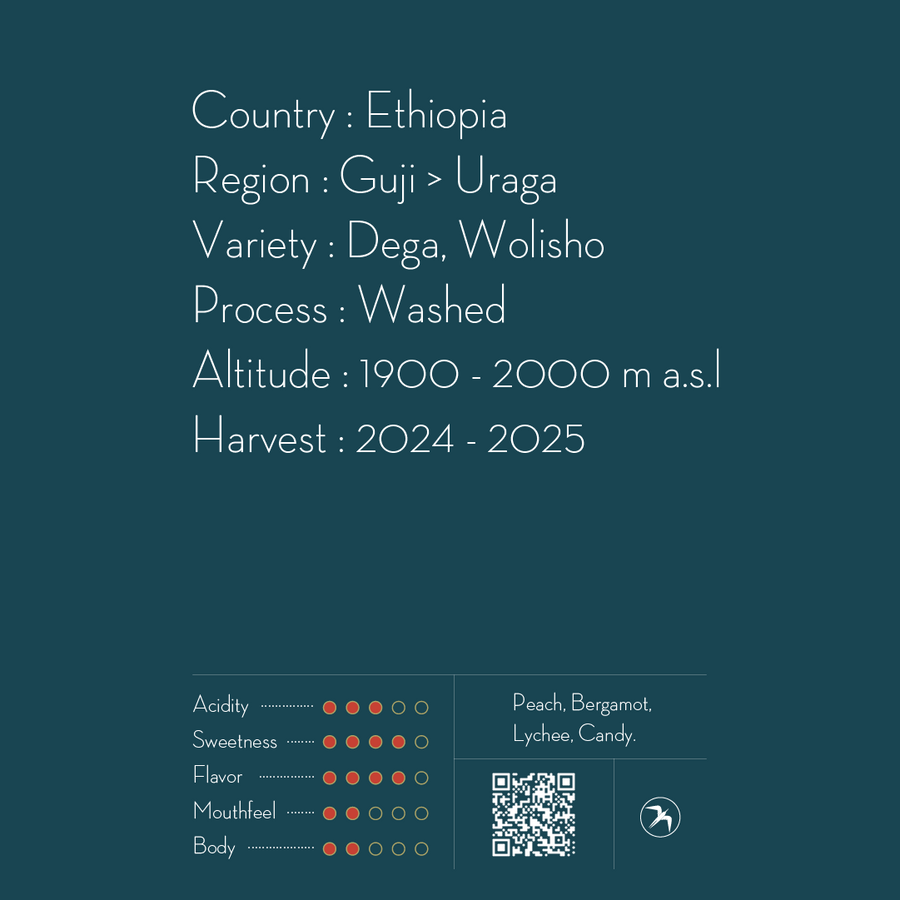 GOGUGU / ETHIOPIA