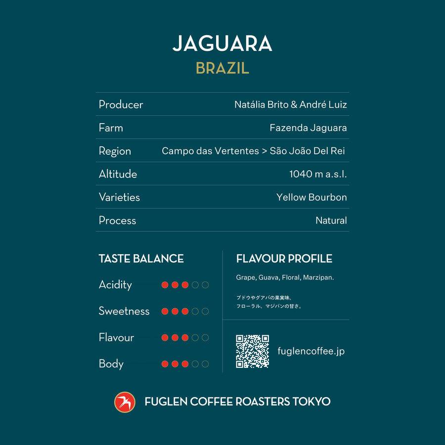 【NEW】JAGUARA / BRAZIL
