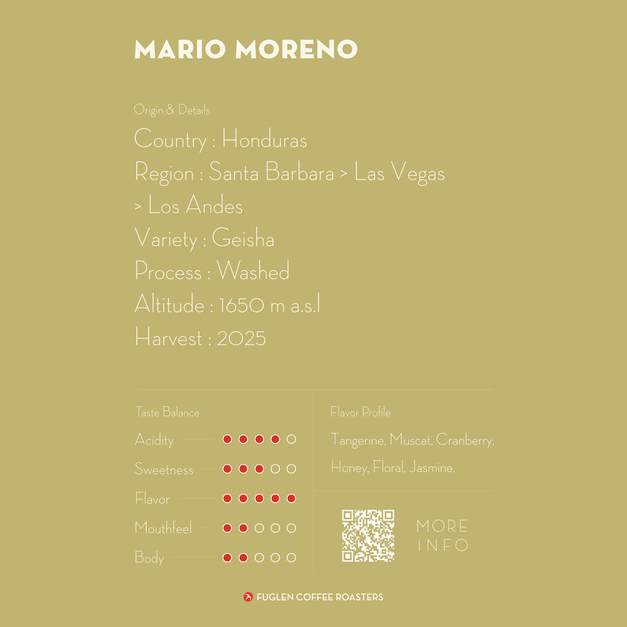 [ 完売 ] MARIO MORENO GEISHA / HONDURAS
