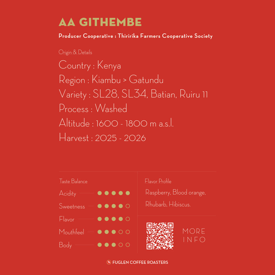 【NEW】DRIP BAG / AA GITHEMBE, KENYA