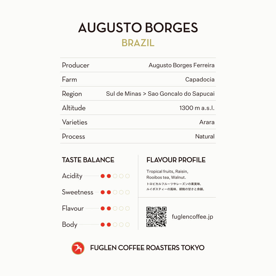 【SOLD OUT】AUGUSTO BORGES / BRAZIL