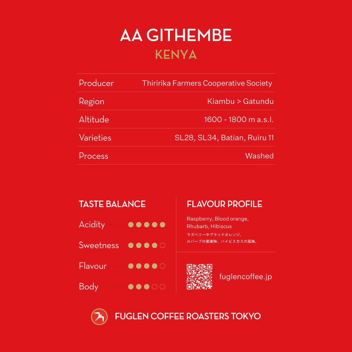 【終売】DRIP BAG / AA GITHEMBE, KENYA