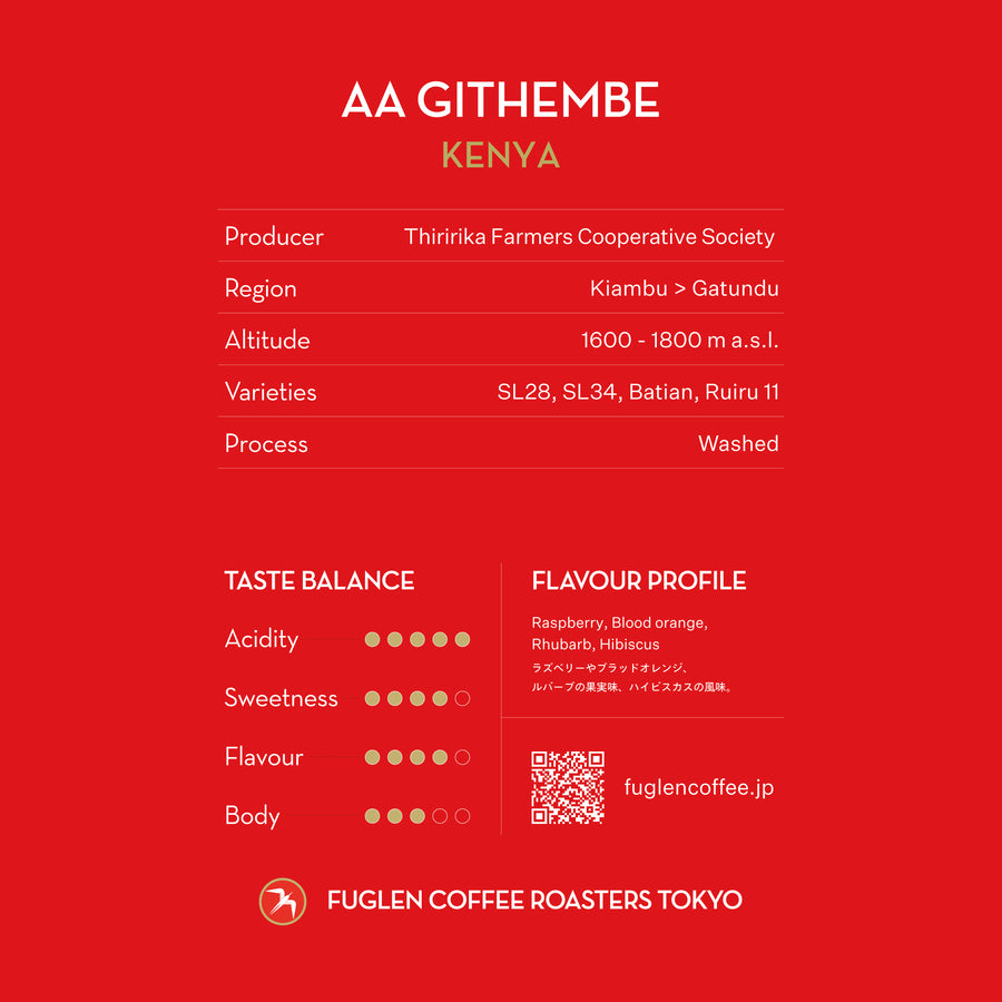DRIP BAG / AA GITHEMBE, KENYA