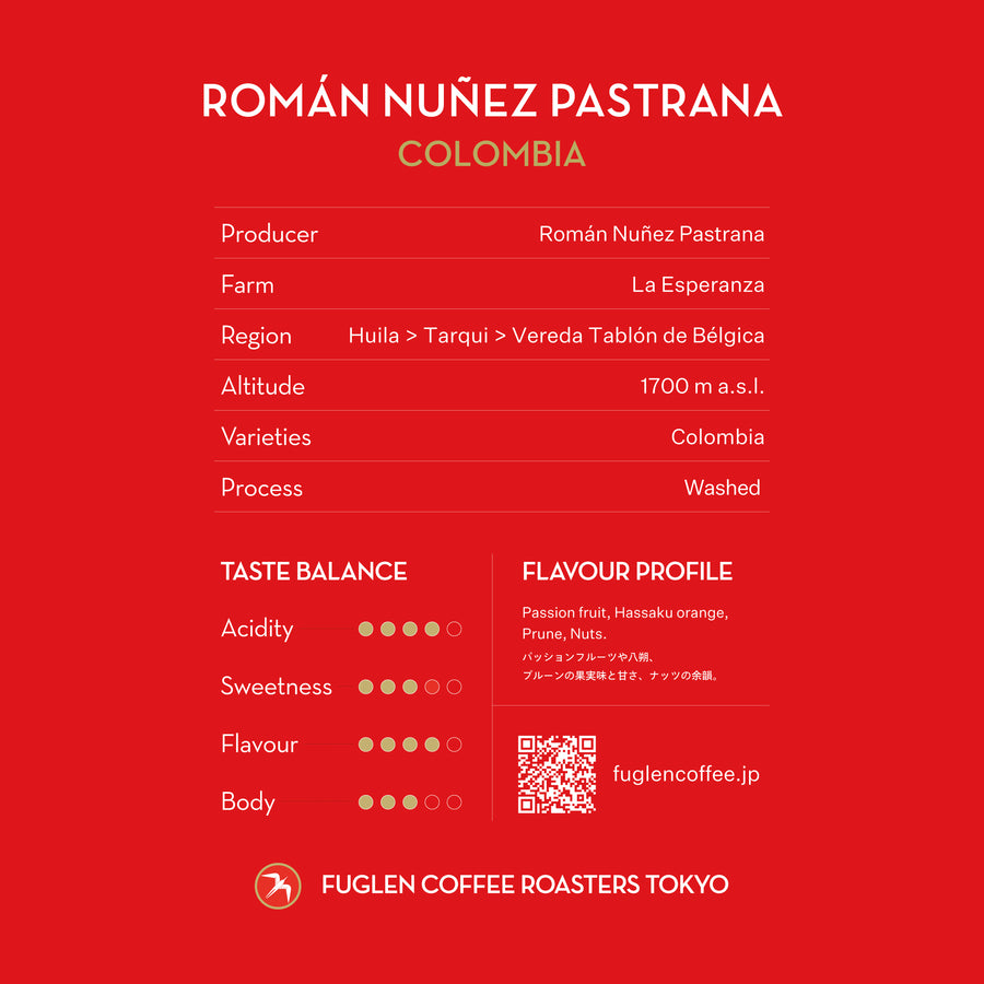 【NEW】ROMÁN NUÑEZ PASTRANA / COLOMBIA
