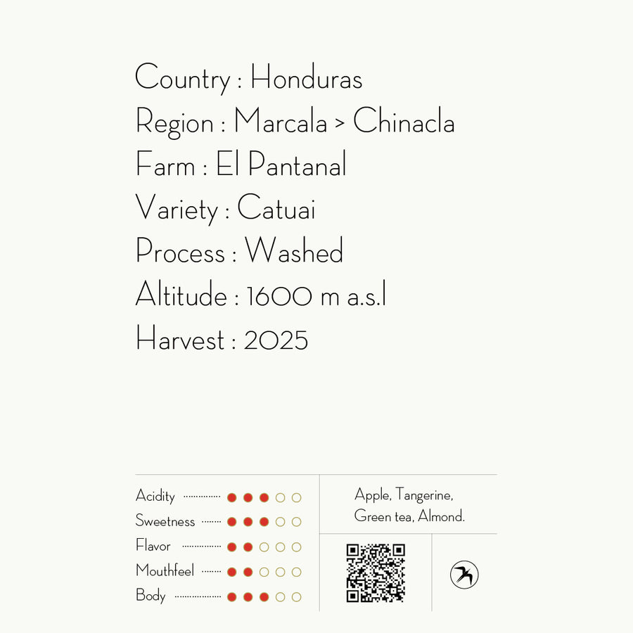 EL PANTANAL / HONDURAS