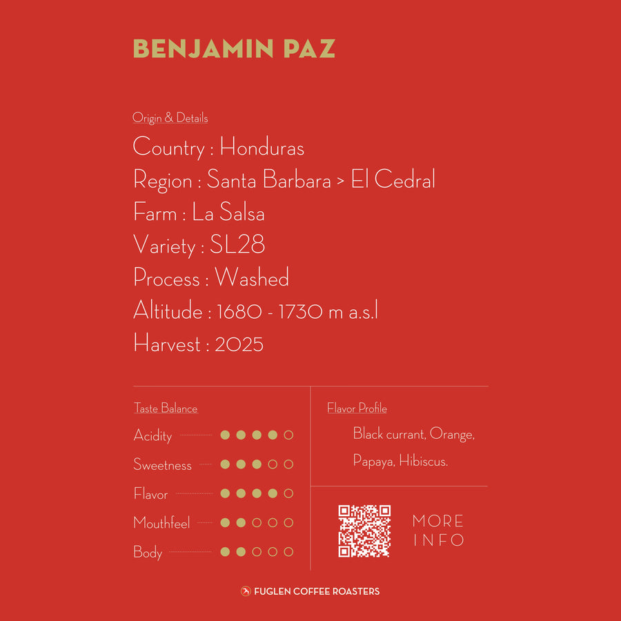 【NEW】 BENJAMIN PAZ SL28 / HONDURAS