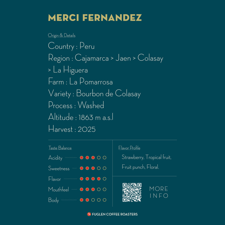 【NEW】 MERCI FERNANDEZ / PERU