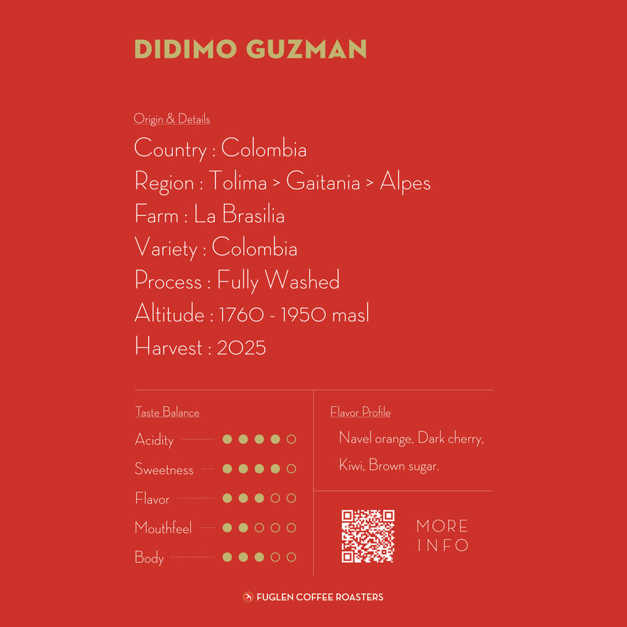 【NEW】DIDIMO GUZMAN / COLOMBIA