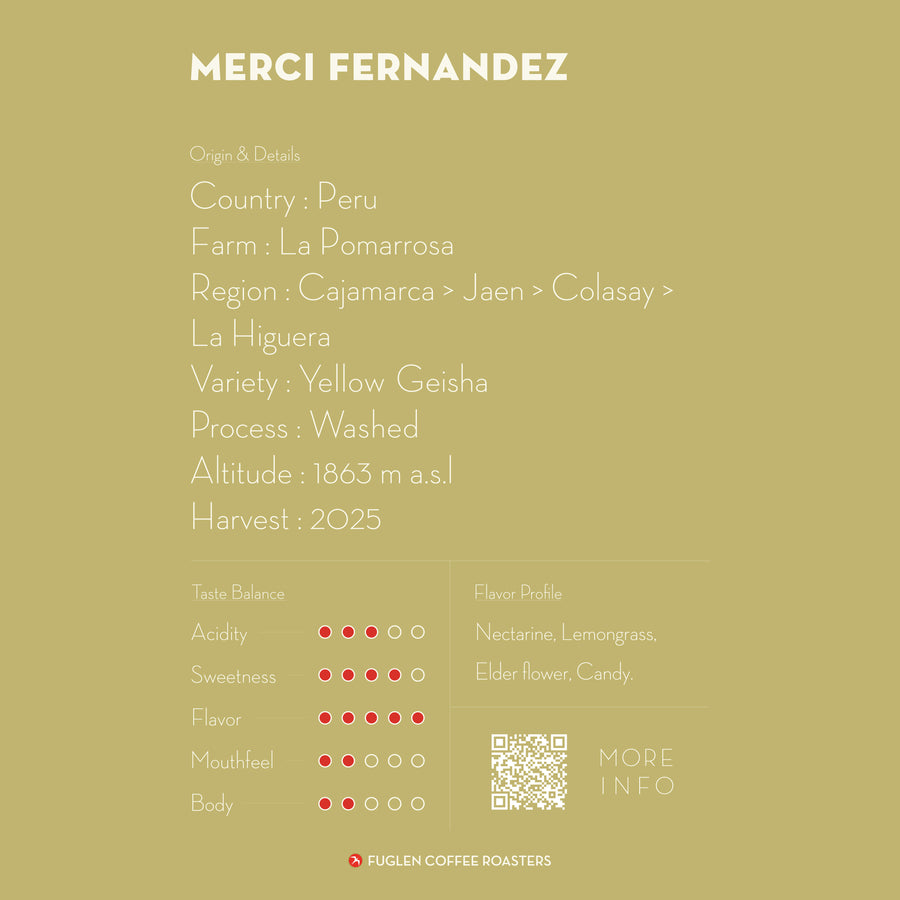 【NEW】MERCI FERNANDEZ GEISHA / PERU