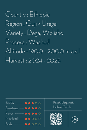 【NEW】GOGUGU / ETHIOPIA