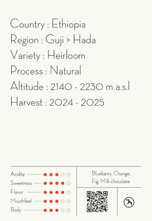 【NEW】HADA ESPRESSO / ETHIOPIA