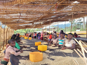 【NEW】GOGUGU / ETHIOPIA