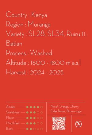 【NEW】AB KIAWANDUMA / KENYA