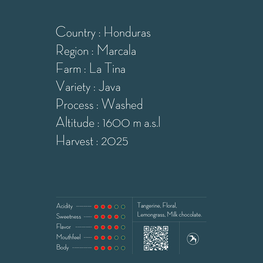 【NEW】DRIP BAG Marysabel Caballero "La Tina"