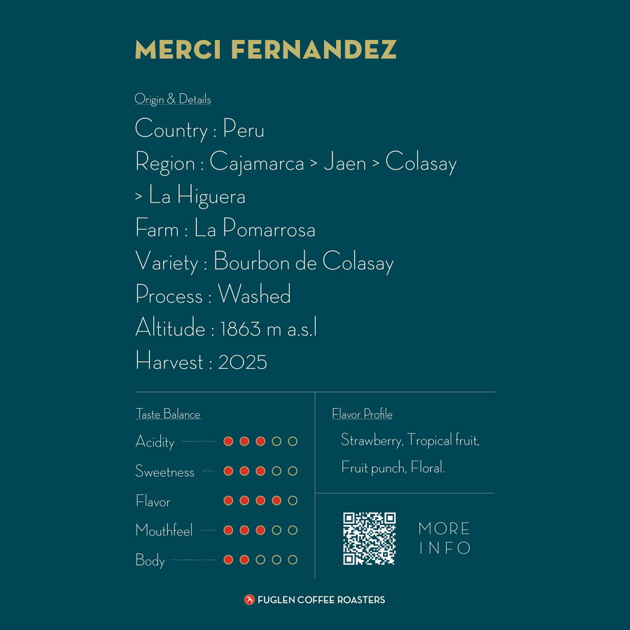 【NEW】DRIP BAG / MERCI FERNANDEZ, PERU